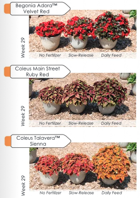 Screenshot 2025-05-09 at 9.42.37 AM.png